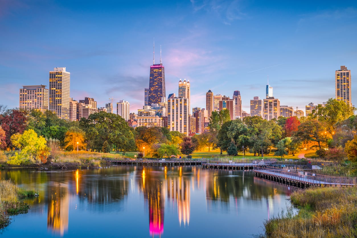 Dental marketing for Illinois practices